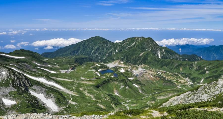 今年家电企业间市场争夺很分裂：从明枪暗箭到置于死地！-家电圈官网