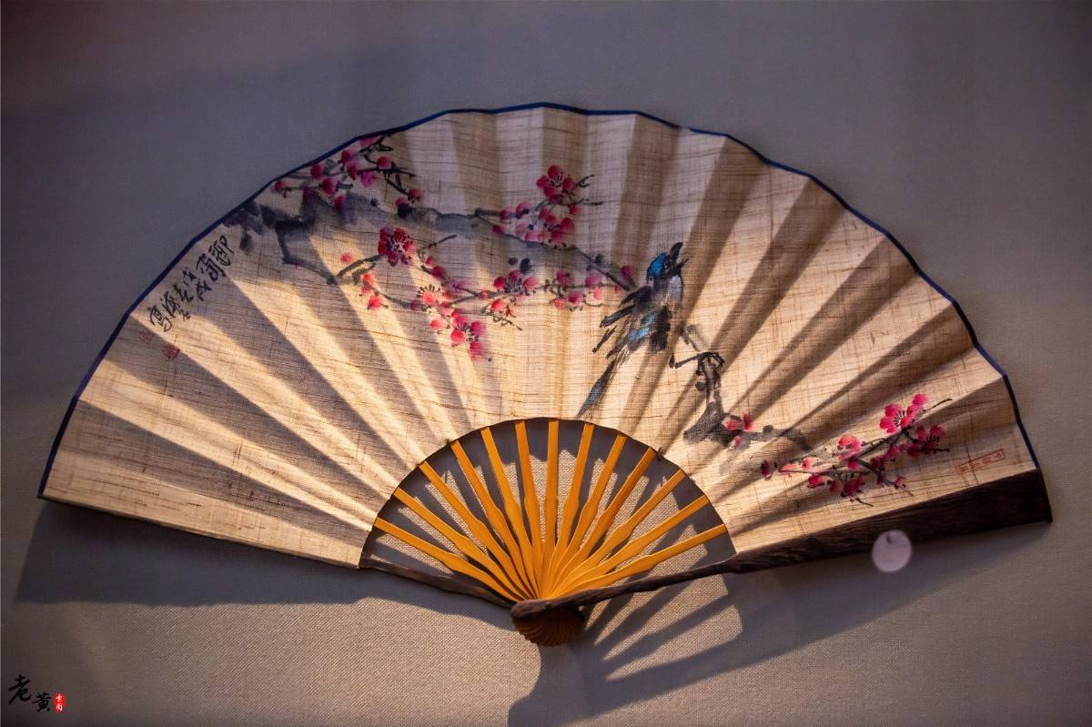 原创一把折扇价值几千,夏布虽然退出主流舞台却依然连城,原因是什么