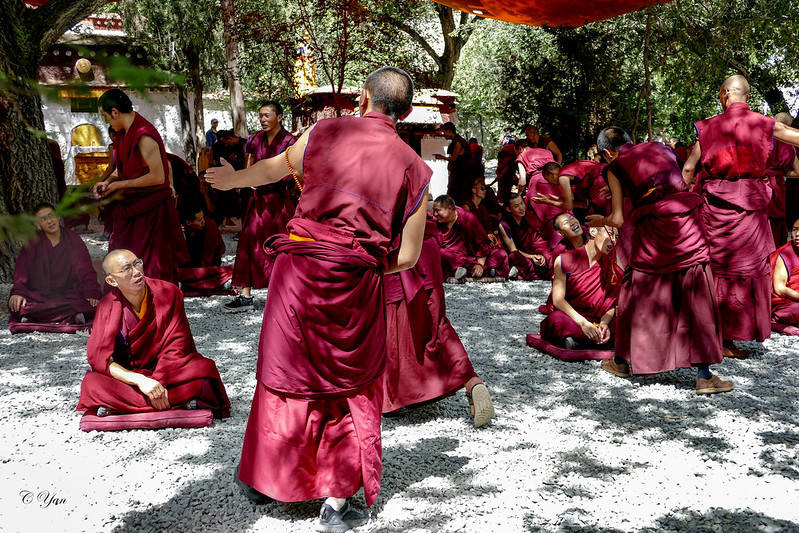 美国严教授青藏行 —— 哲蚌寺,色拉寺