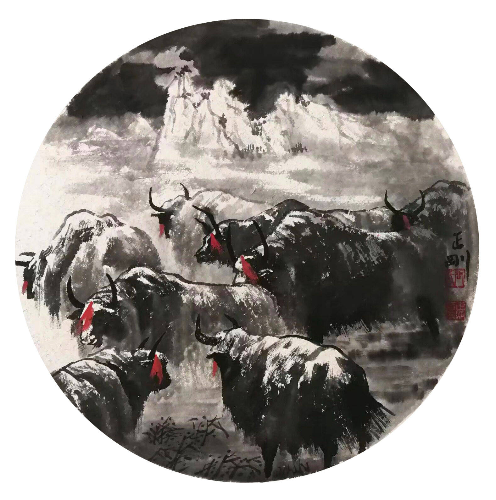 华夏之星张正刚