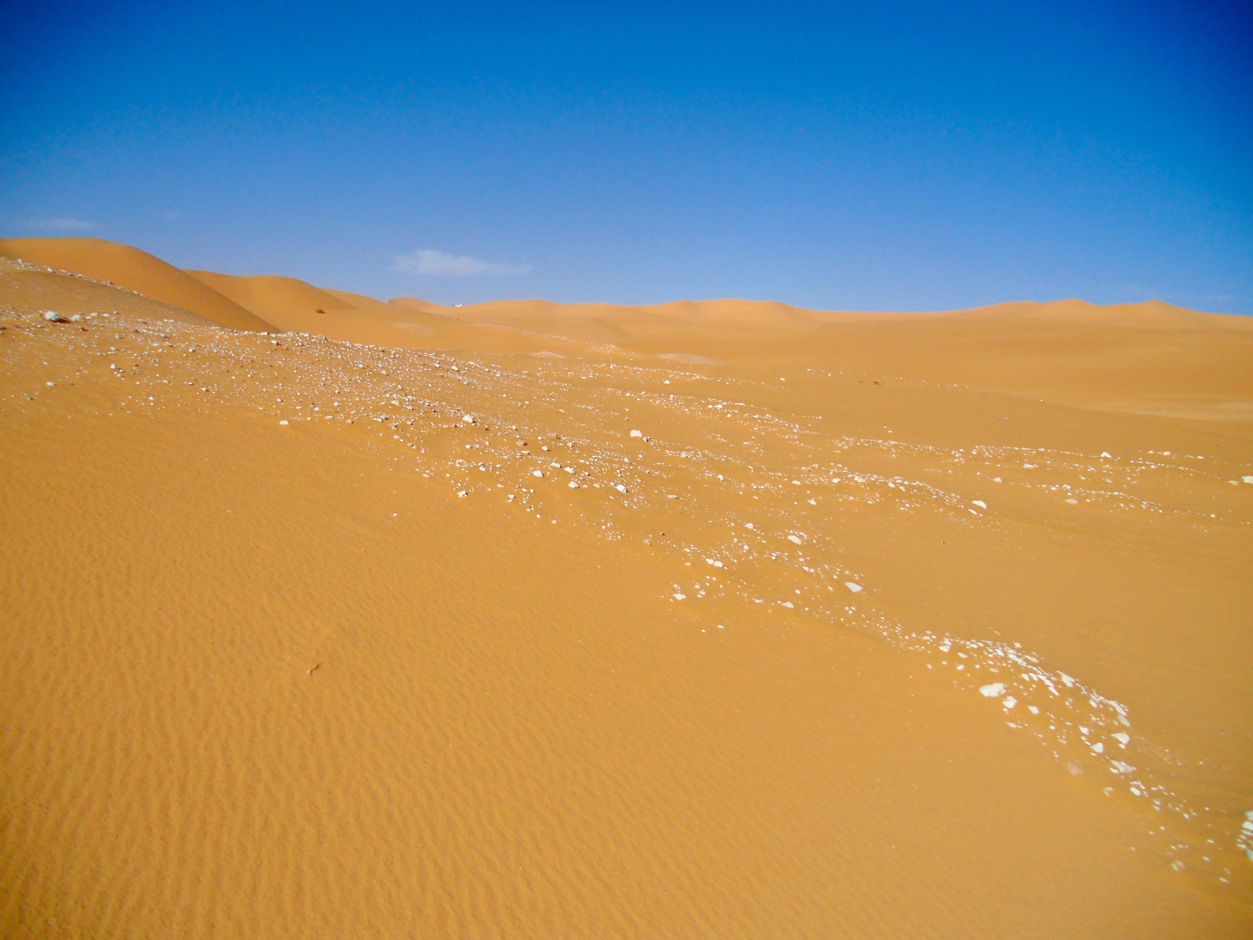 卡哈拉里沙漠图片