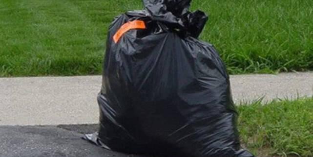 狗狗被虐待扔至垃圾桶,幸得好心路人相救,如今的情况有所好转