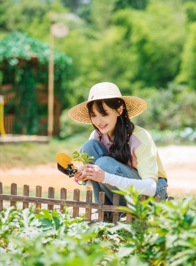 原创被尬黑太惨!郑爽归还奇妙小森林道具,喊话节目组好有态度