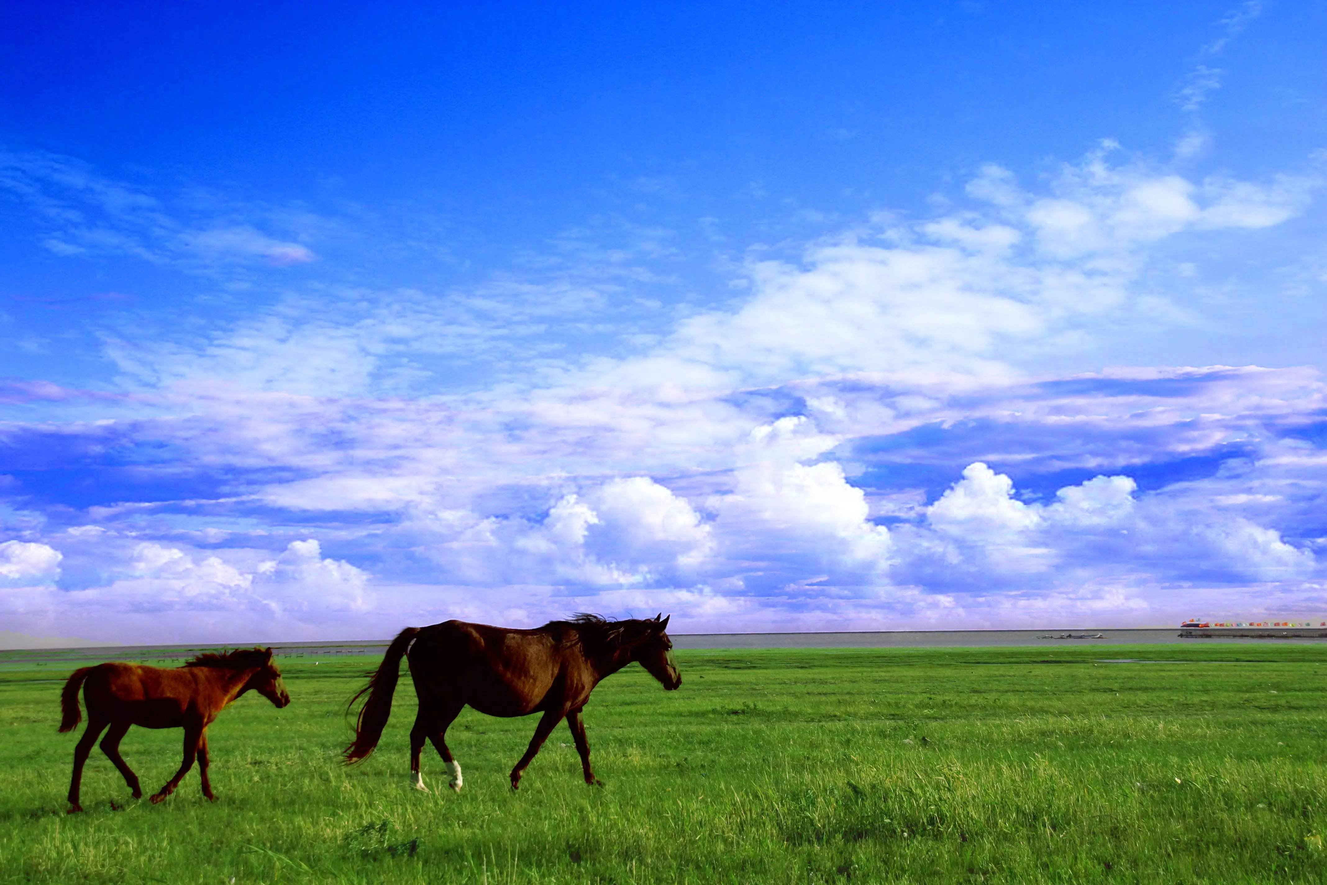 原创最美旅行线路|呼伦贝尔 阿尔山6日大环线,苍茫草原 奇幻森林