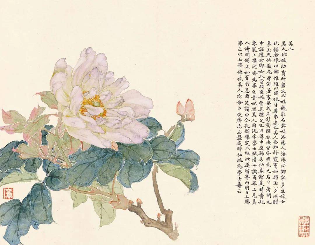 居廉 群芳竞妍册-牡丹居廉 群芳竞妍册-垂丝海棠居廉 群芳竞妍册-玉兰