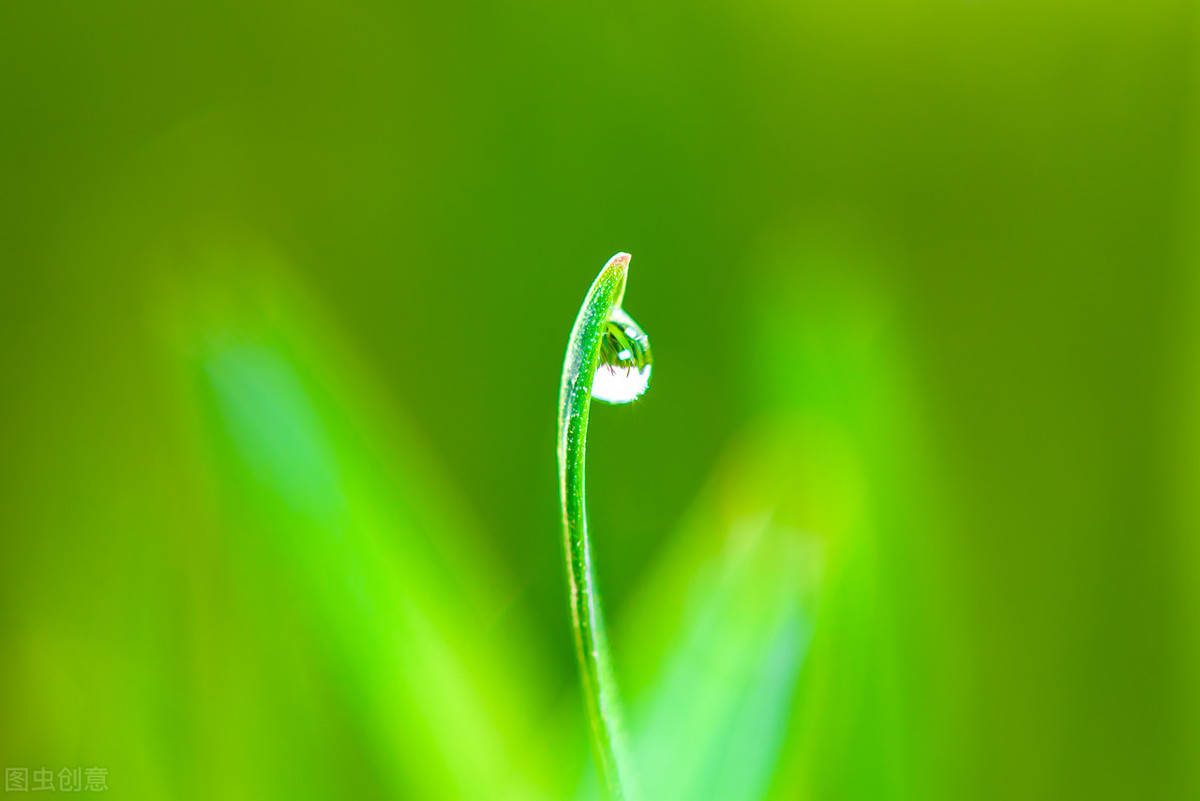 路边水泥缝里的那株小草,那株不知名的野草,一定在雨露的滋润下,默默