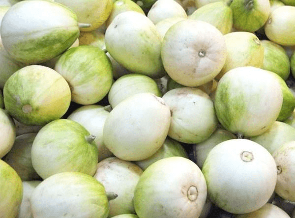 香瓜也分公母,买香瓜时,一定要选"母香瓜",香甜可口汁水多_感觉