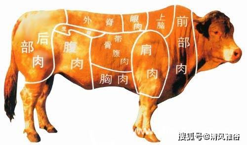 你知道嗎牛眼肉不是牛的眼睛部位的肉