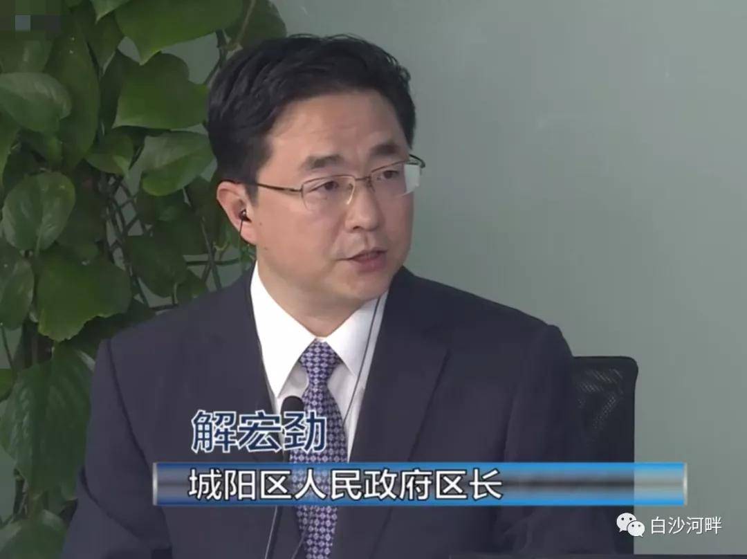 解宏劲:积极争取地铁10号线,研究白沙湾片区规划并加大招商引资力度