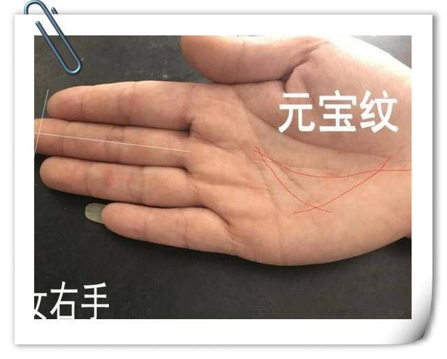 手相有"此纹",人中之龙,中年后必是大老板