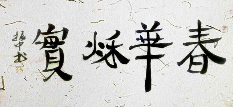 华夏之星杨振中