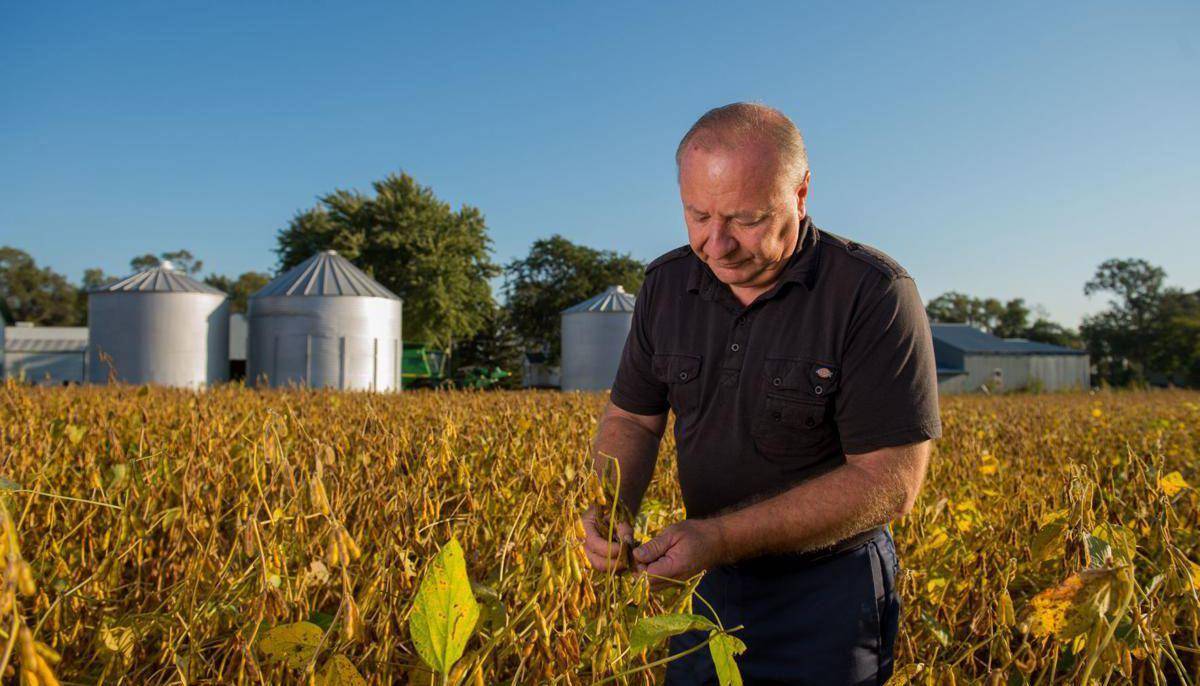 原创我们为什么要进口美国粮食?自己种的不够吃吗?
