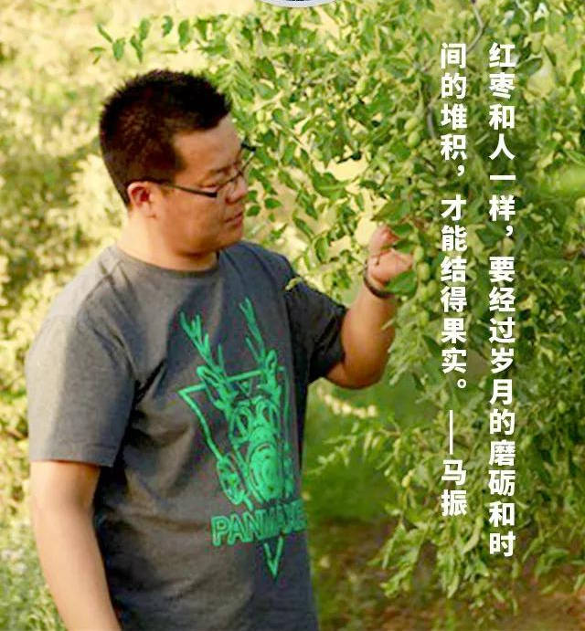 拼视频购丨他在戈壁上挥洒6年汗水与青春,种出若羌独有的有机枣_马振
