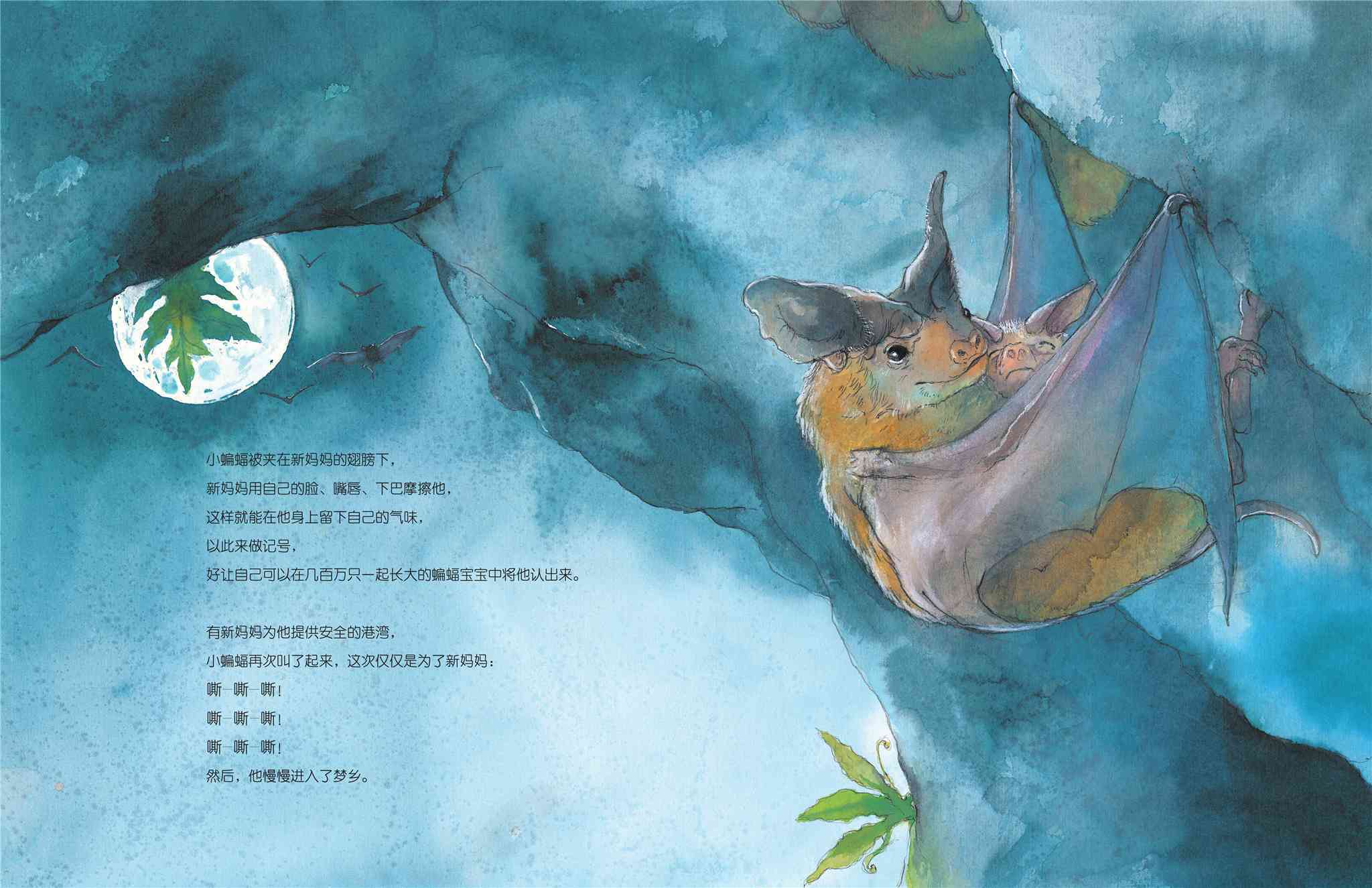 儿童绘本故事推荐《蝙蝠孤儿》