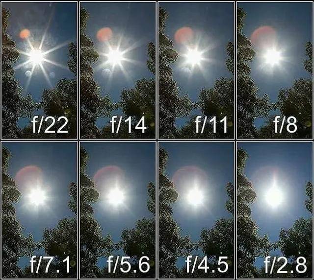 摄影是一门用"光"的艺术,用好光很重要