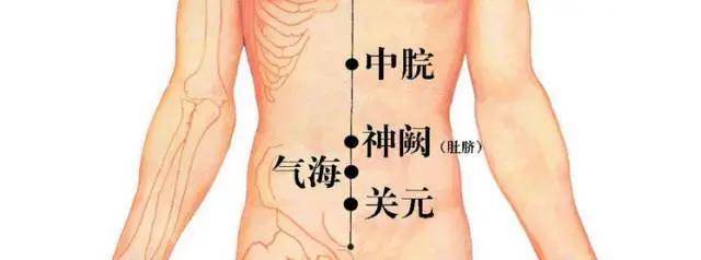 腹部的准确位置图图片