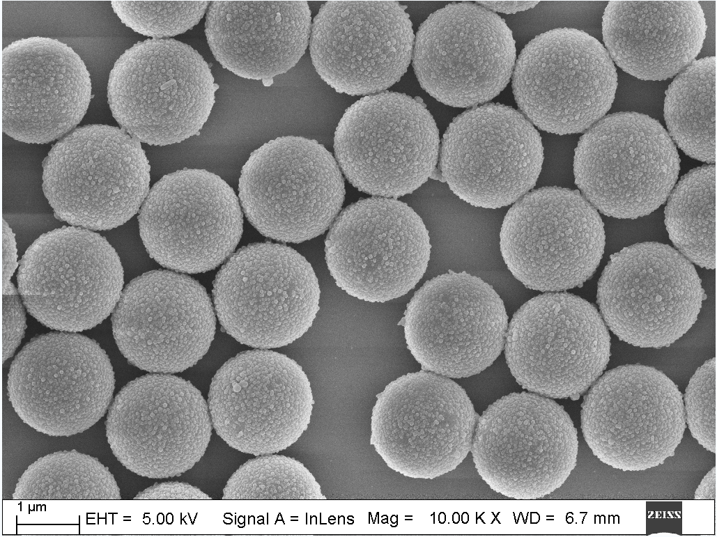 哪里可以测试sem场发射扫描电子显微镜