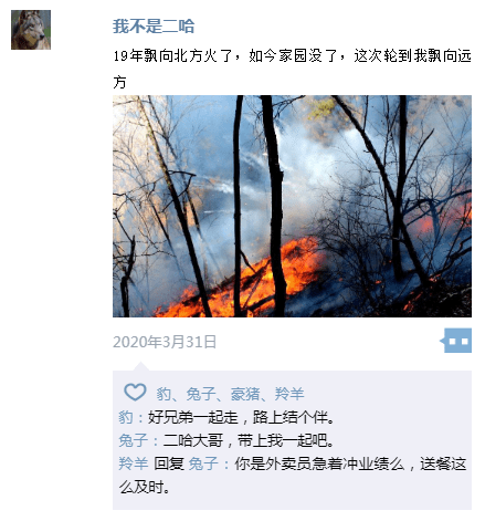 2020过半|经历过这些朋友圈大事件,庆幸还活着的自己