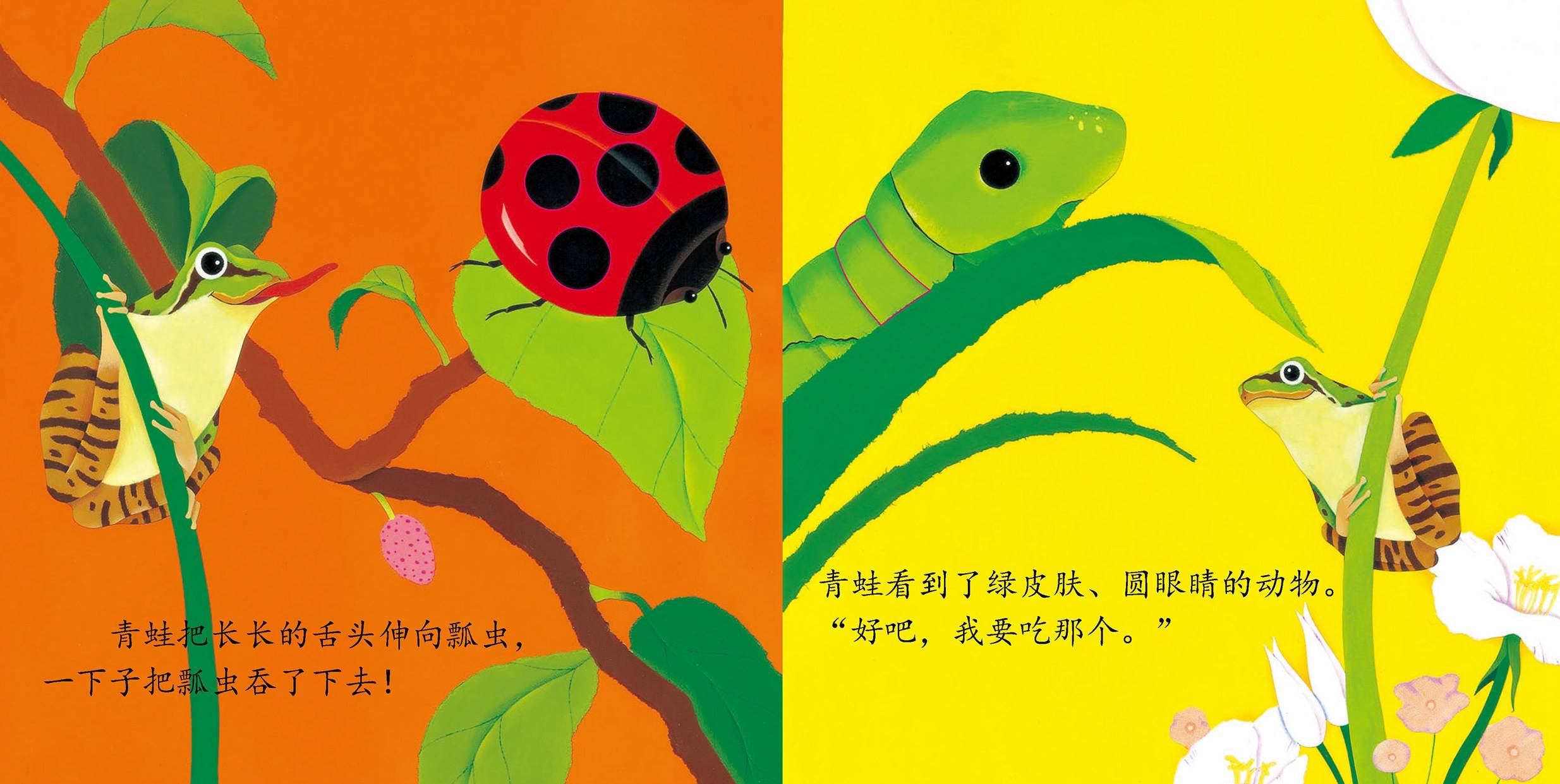 儿童绘本故事推荐《青蛙肚子饿了》