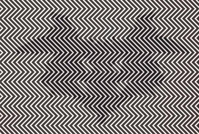 心理测试:脑子越聪明的人,越可以看到狐狸,你看到了吗?