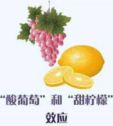 甜柠檬和酸葡萄理论 酸葡萄是指人们得不到别人手中好的东西,一种自我