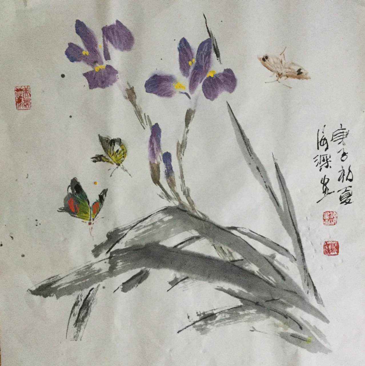 杨海深的小写意——鸢尾花