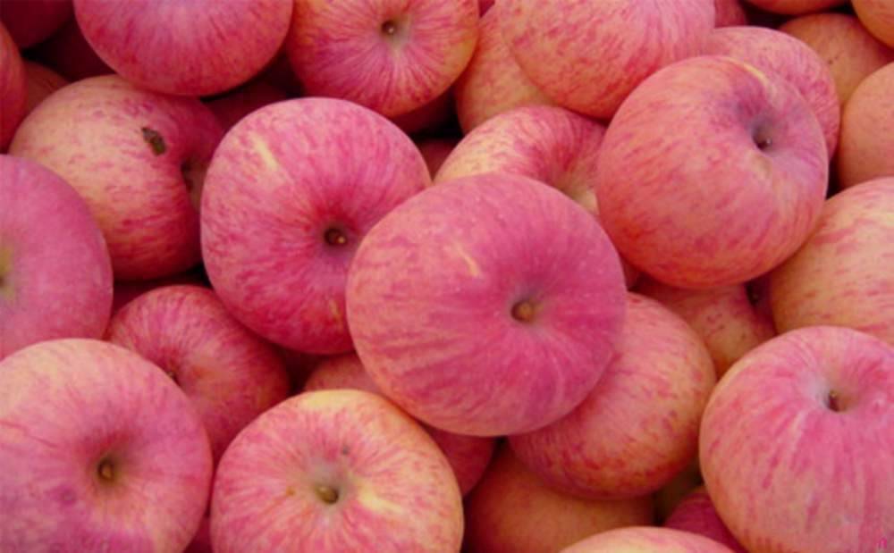 0背景下,苹果尺寸外观缺陷视觉检测系统有什么优点?