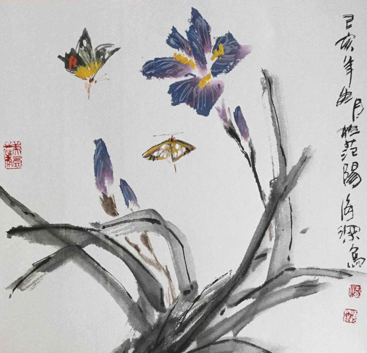 原创杨海深的小写意鸢尾花