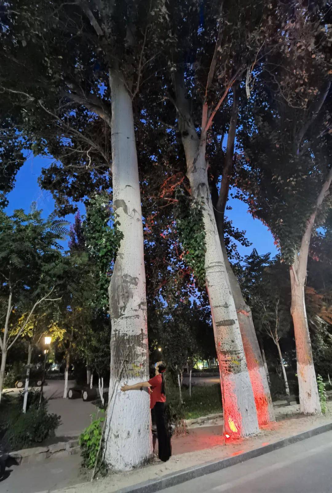 【城市掠影】悠闲,祥和的慢时光成为六星街夜晚的主题!_伊宁