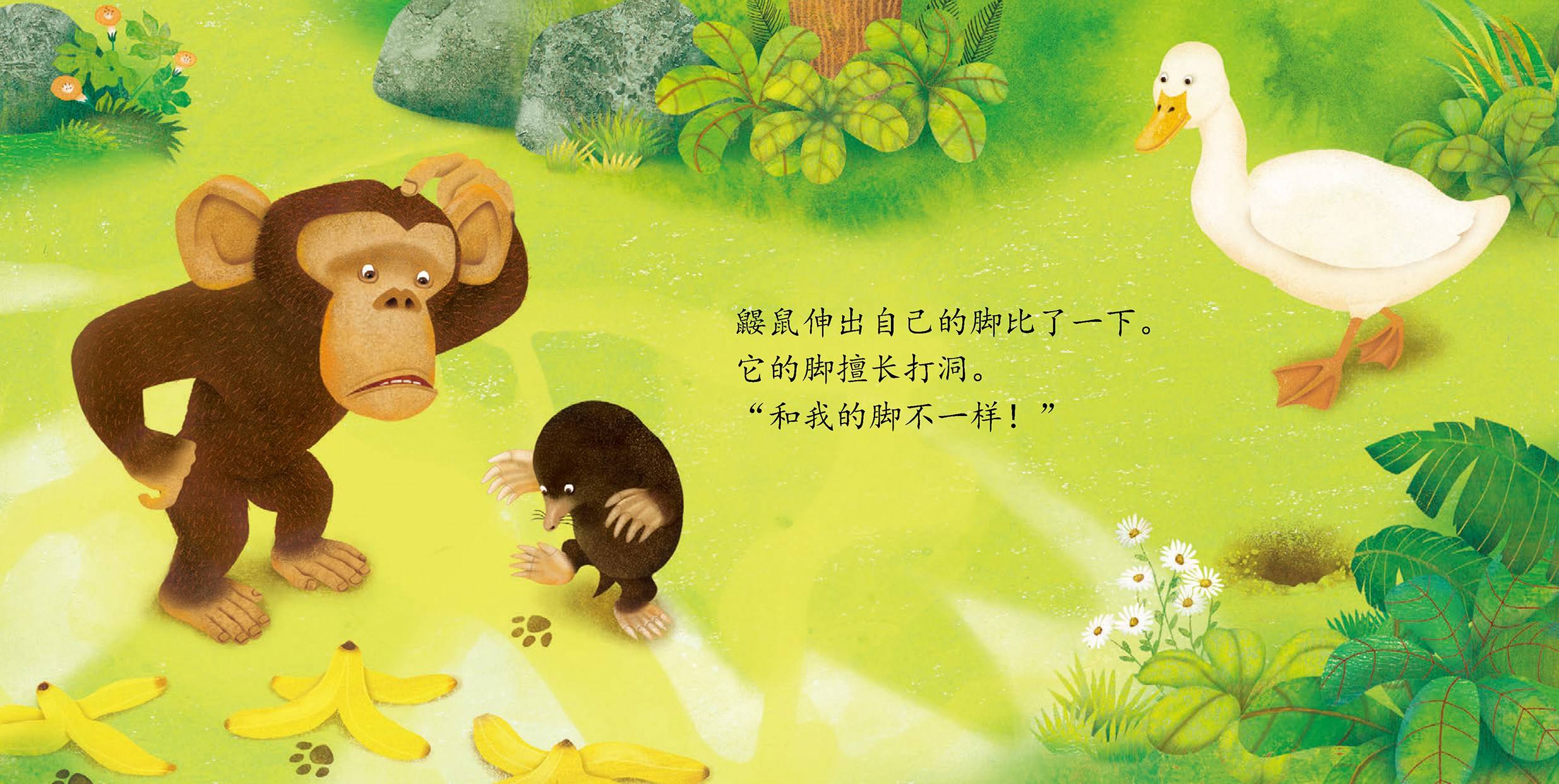 儿童绘本故事推荐《是谁偷走了香蕉?》