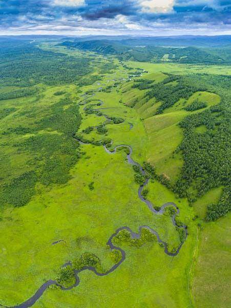 来到呼伦贝尔放眼远眺,一望无际的草原,仿佛是浩瀚的绿色海洋,骏马在