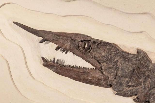 原创恐龙时代的剑鱼嘴中长满锋利牙齿