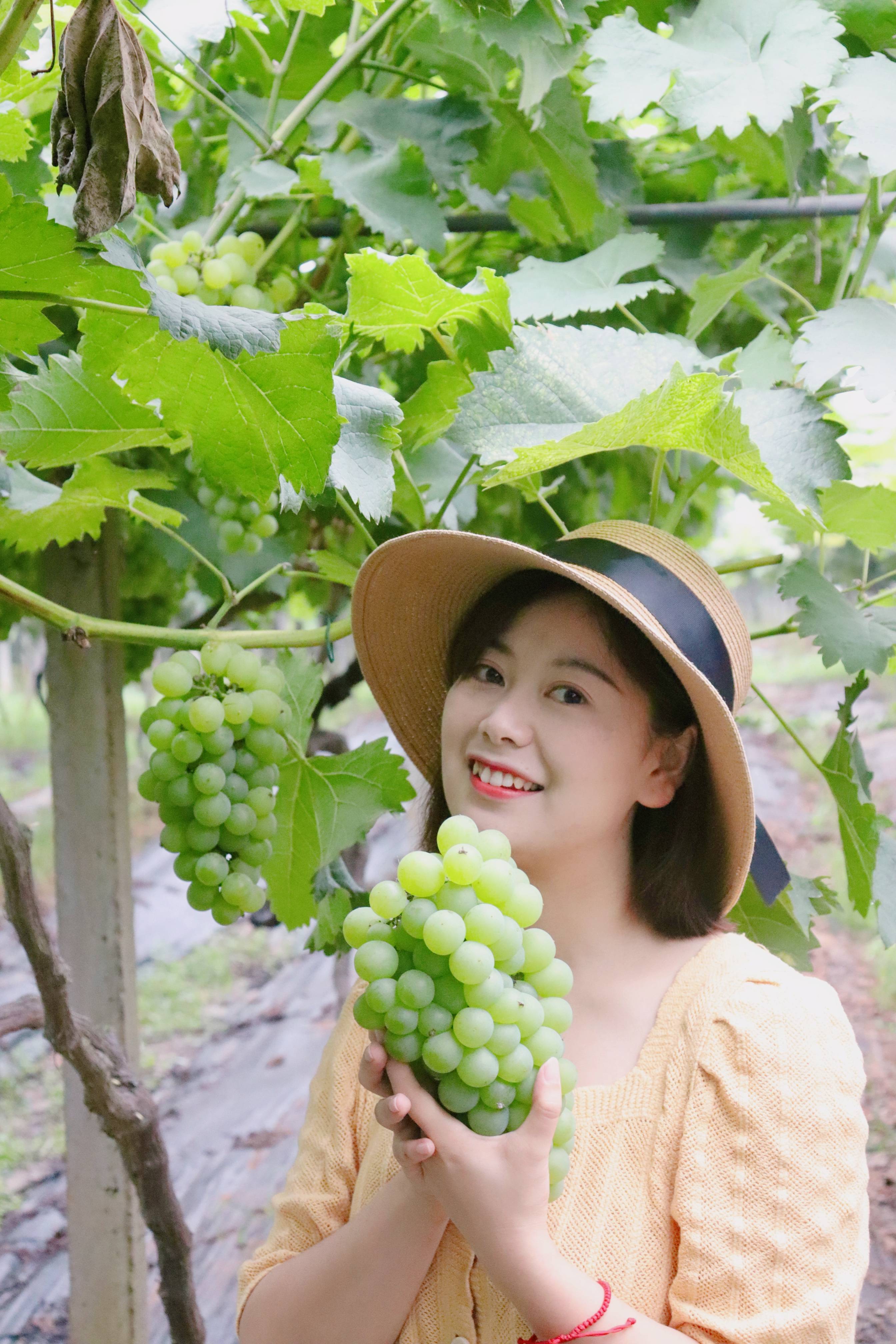 摘葡萄好去處|親子,情侶,閨蜜百搭