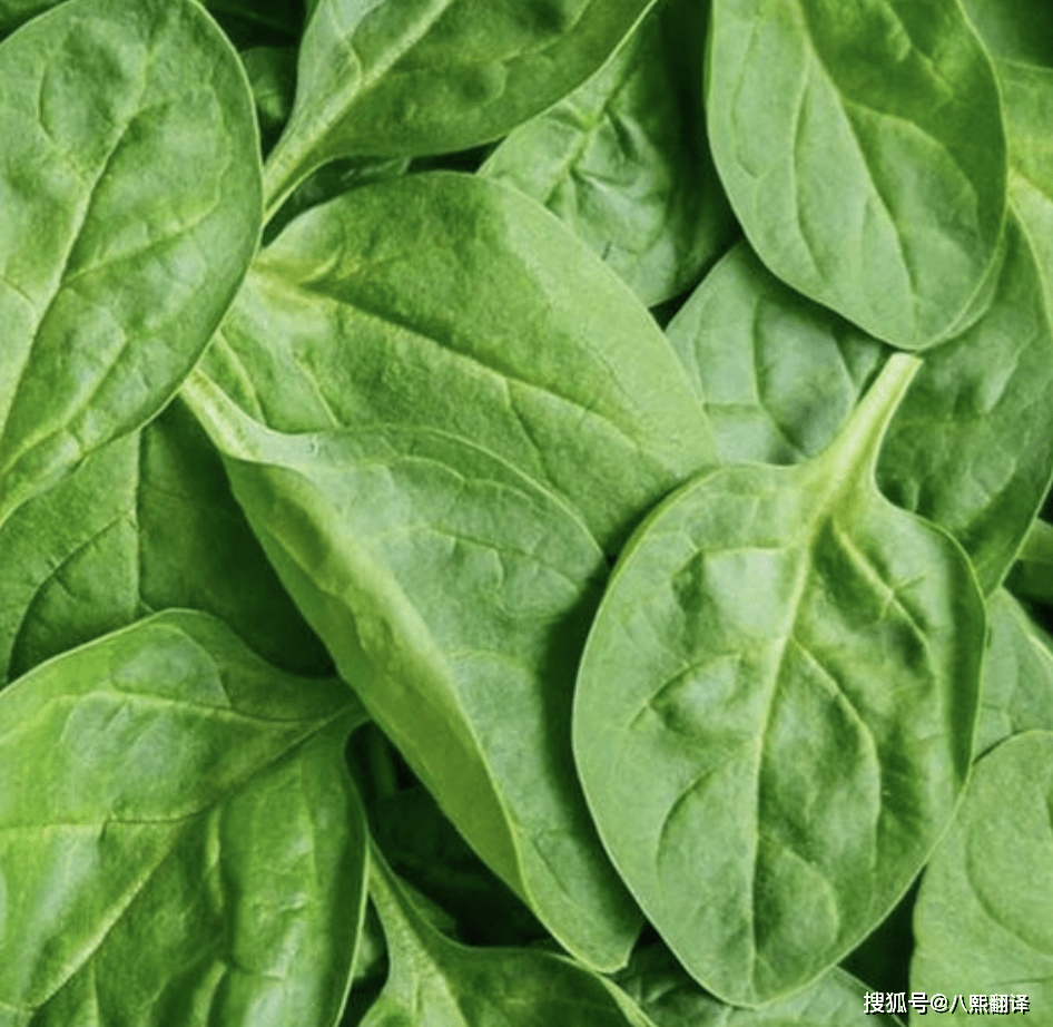 这30种蔬菜的英文你都会吗?一起来看看,查缺补漏噢!_carrot