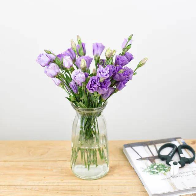 百搭花材|洋桔梗_花瓶