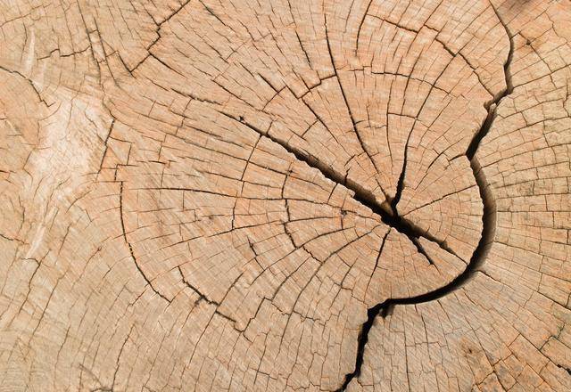 很多商家常说"实木家具的木材开裂是一种天然属性",这句话有问题吗?