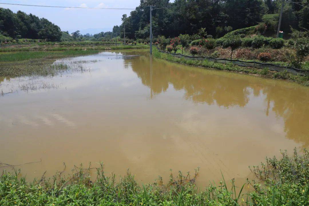 翟晓宾调研浉河区脱贫攻坚及检查防汛,地质灾害防治工作_水库