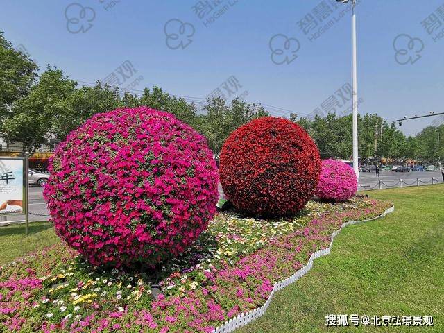 景观花球造景的优势有哪些?