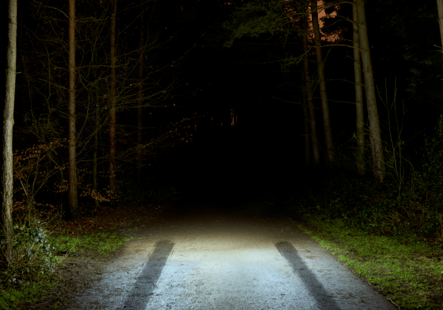 描写夜晚的森林的场景图片