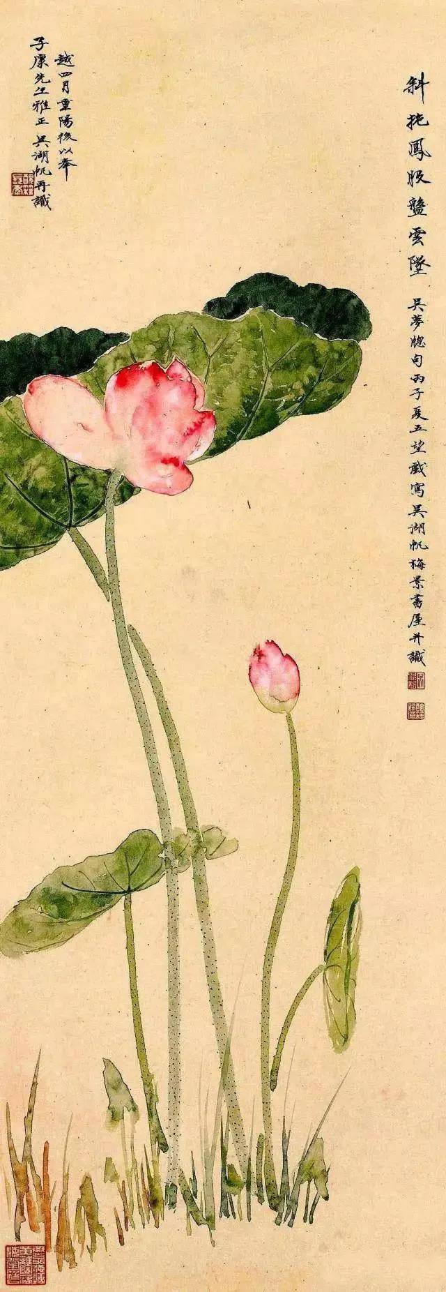 欣赏一下,吴湖帆大师笔下绿叶红荷_荷花