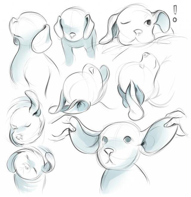 如何画好人类,动物耳朵?详细又简单的绘画讲解