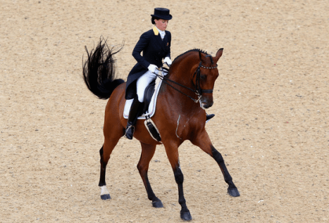 原创大陆马:《奔跑吧,马术!》看看10位骑马的明星谁穿骑士服最帅?