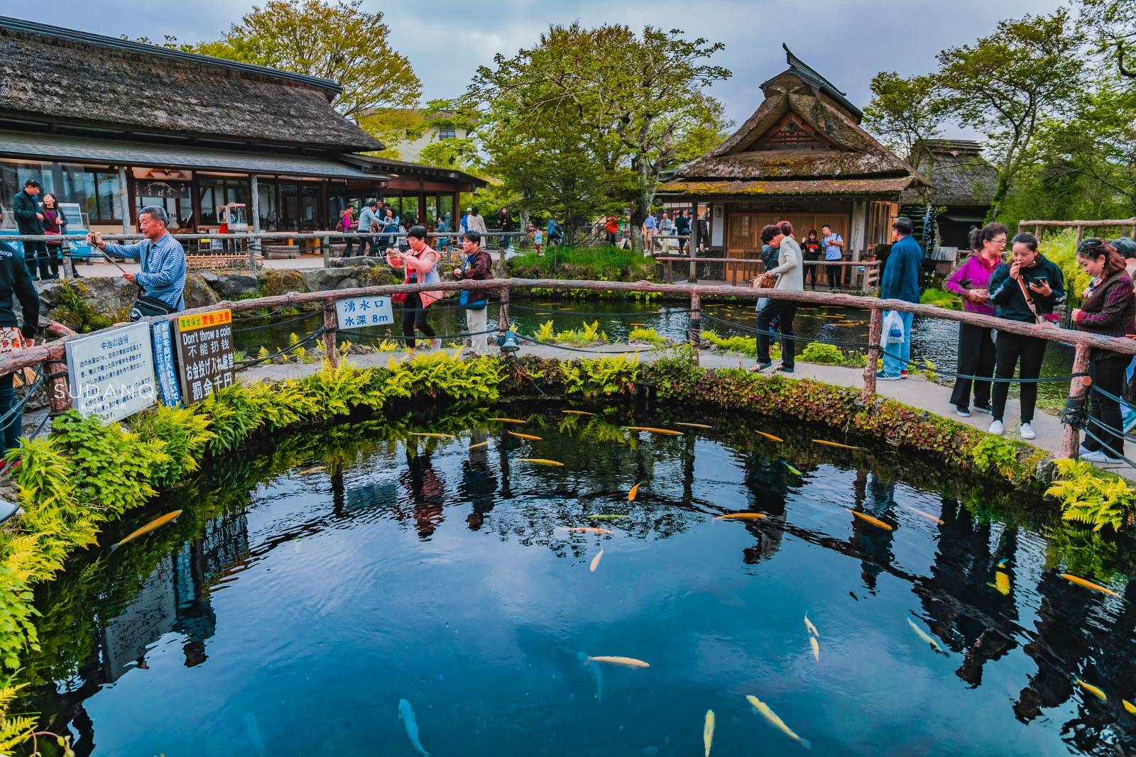日本名水百选",是日本国家指定的天然记念物,名水百选,新富岳百景之一