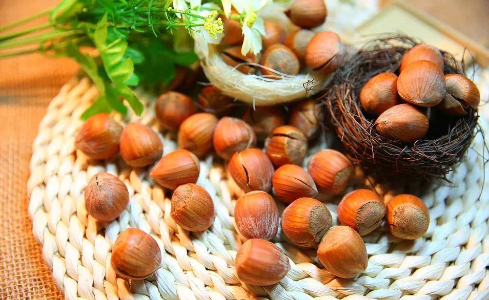 “这些是发物不能吃!”人们口中的“发物”到底是什么?_食物