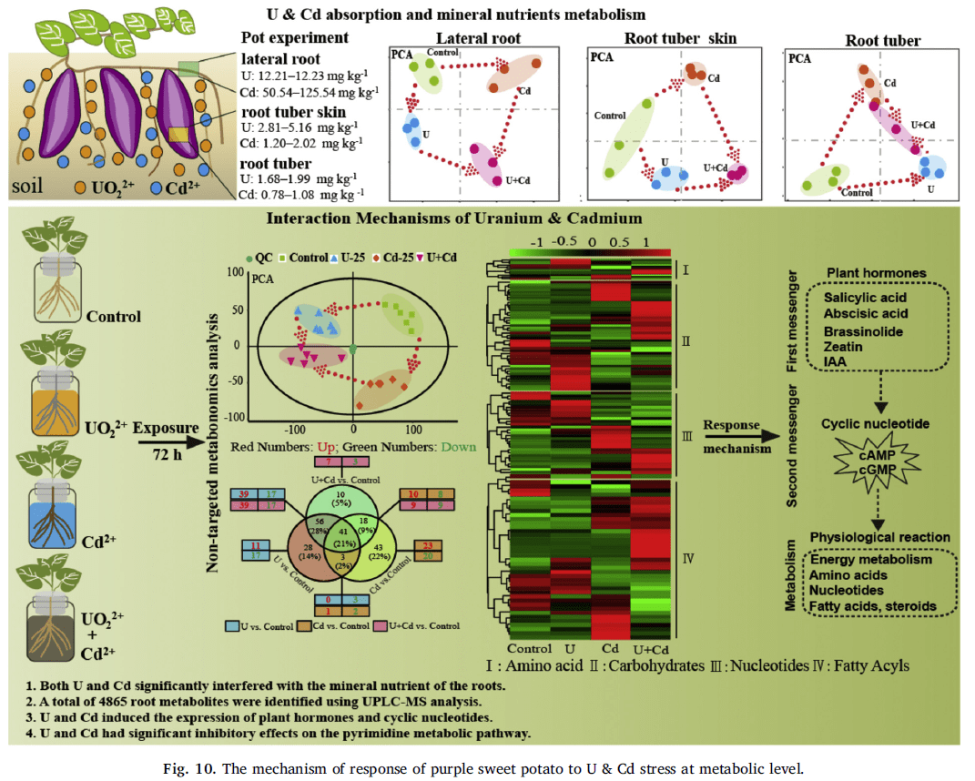 连中三元!恭喜西南科大代谢组学研究再登环境顶刊