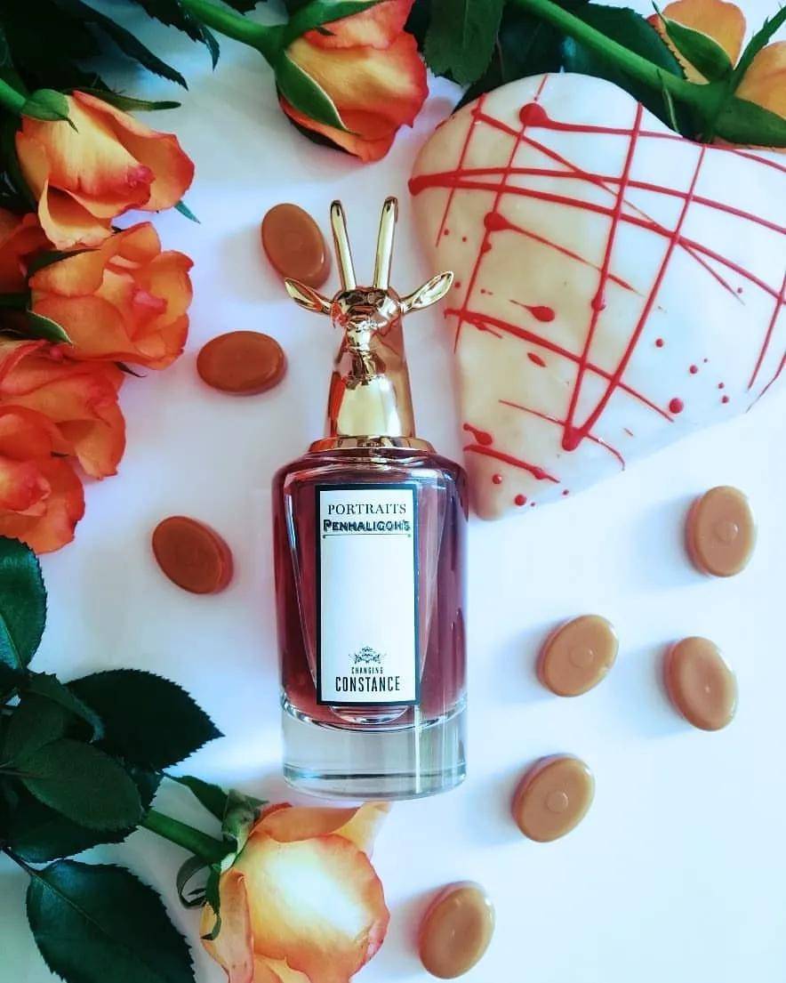 潘海利根善变的康斯坦斯(羊) | 可盐可甜,可奶可仙