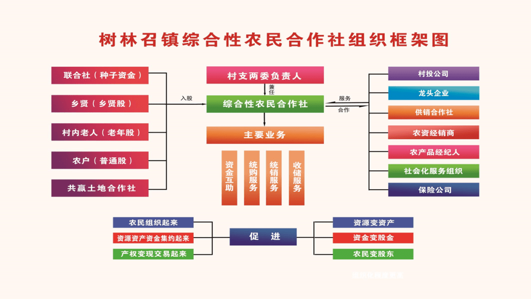 内蒙古树林召镇内置金融一村四社让农民省钱还赚钱