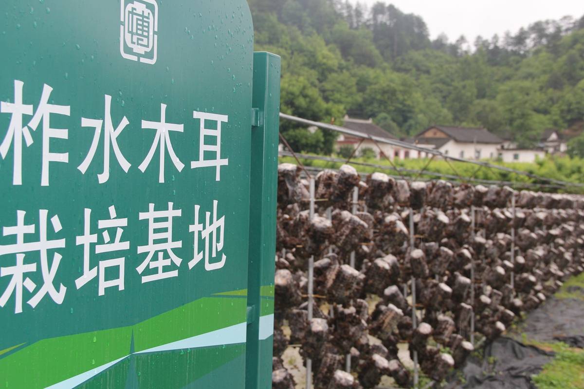 郧西贸易公司怎么选？从农资批发到企业采购的实用指南