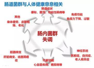 肠道|慢性便秘治疗的新技术——粪菌移植