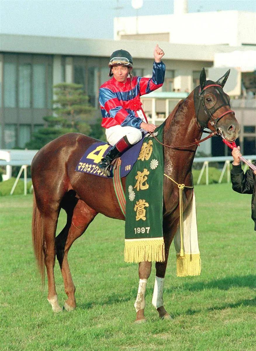 aquis farm雅士牧场:1997年日本一级赛菊花赏冠军赛马26岁高龄衰老